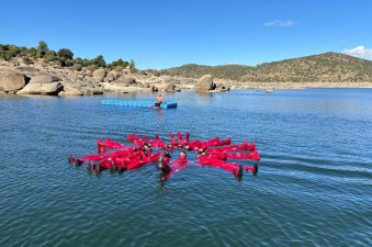 Curso de Formación Básica en Seguridad Marítima en Madrid